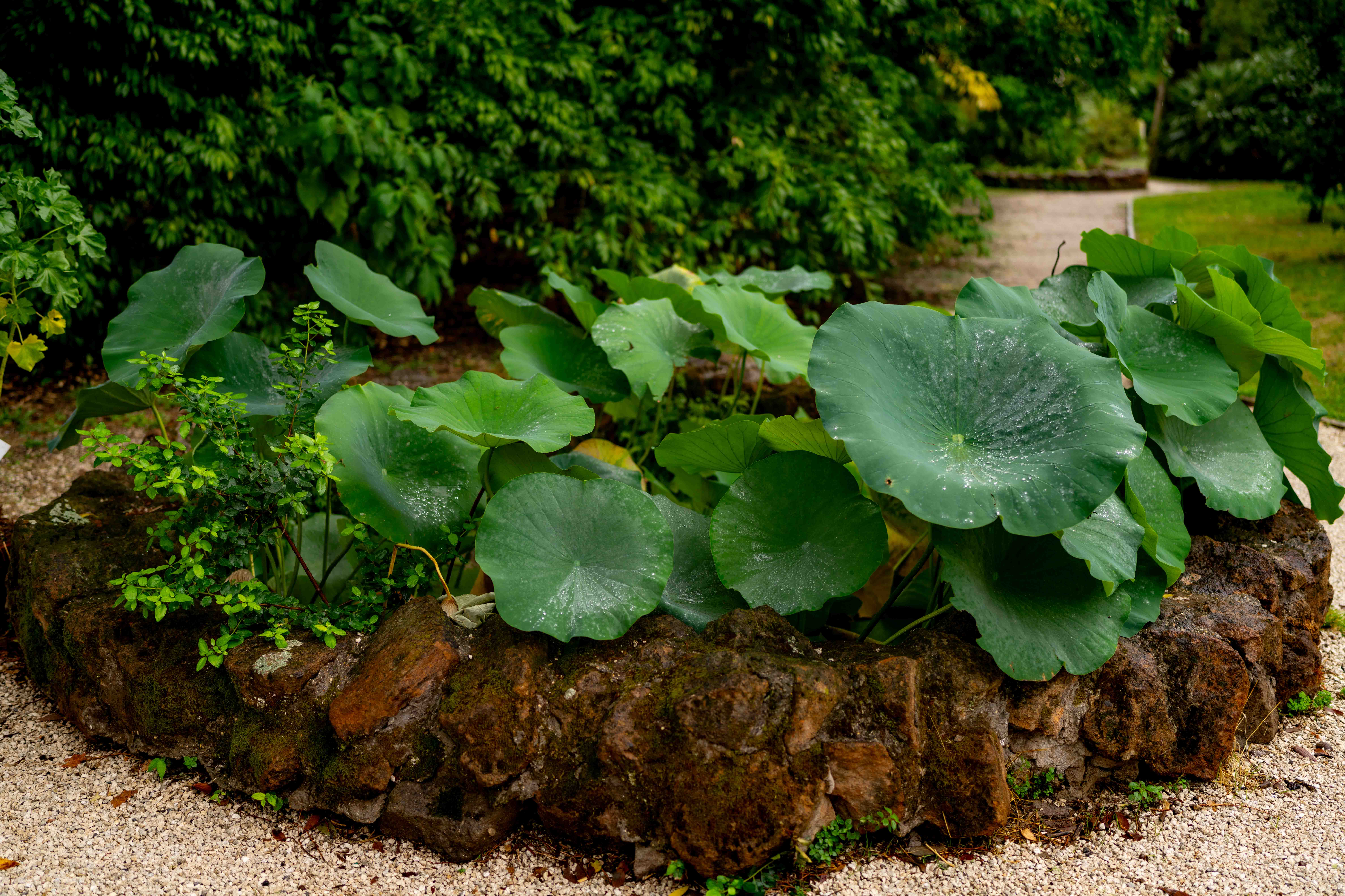 Photos from travel in Rome, Florence, Venice, Fall 2025.